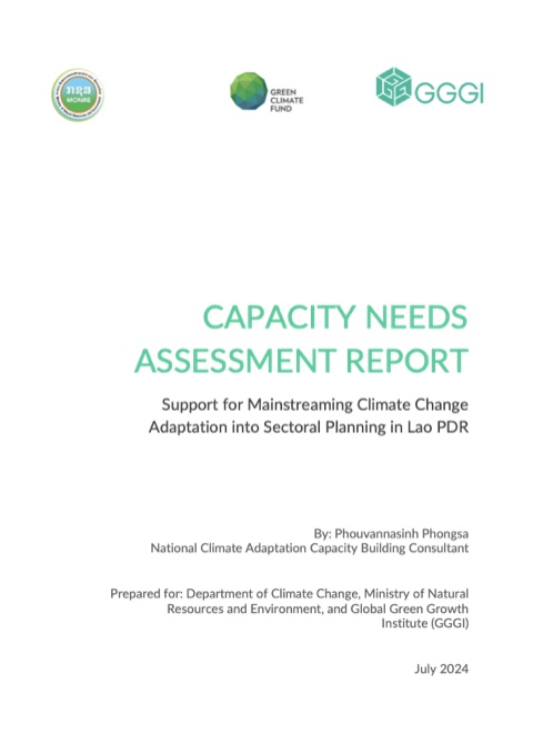 Capacity Needs Assessment cover