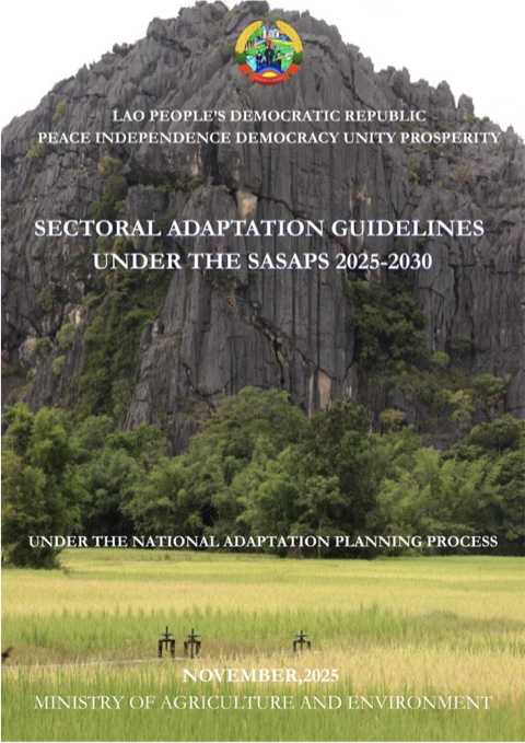 3. SAP Development Guidelines cover